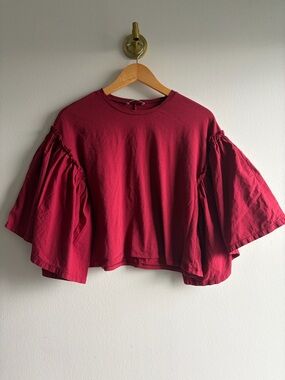 Zara Red Ruffled Bell-Sleeve Crop Top